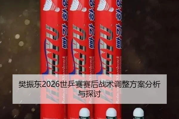 樊振东2026世乒赛赛后战术调整方案分析与探讨