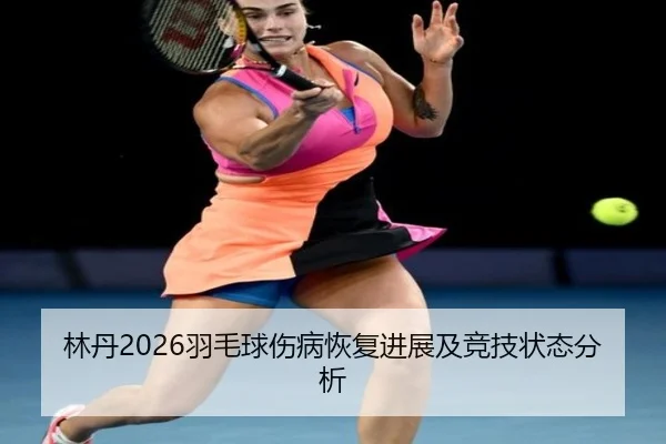 lin-dan-yu-mao-qiu-shang-bing-hui-fu-jin-zhan-ji-jing-ji-zhuang-tai-fen-xi-2-138.jpg
